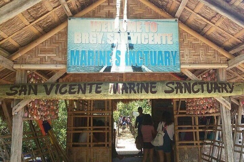 Olango Island Bird Watching and Snorkeling Day Trip from Cebu