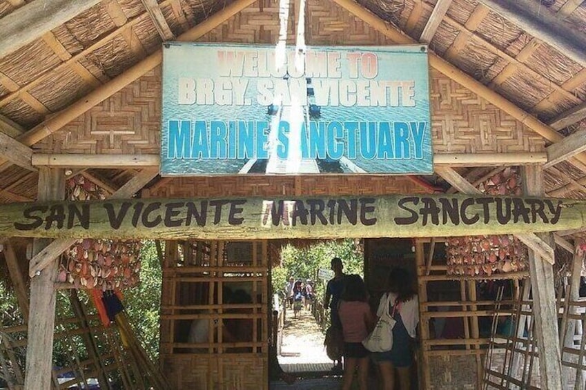 Olango Island Bird Watching and Snorkeling Day Trip from Cebu