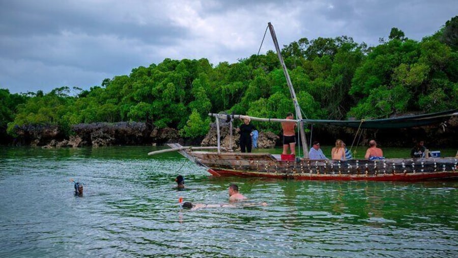 Full Day Safari Blue Zanzibar