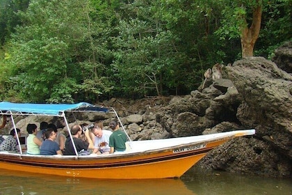 Langkawi Mangrove Kilim UNESCO Geopark and Cave Exploring Tour