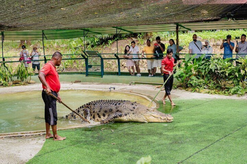 Crocodile Adventureland Langkawi with Return Transfer