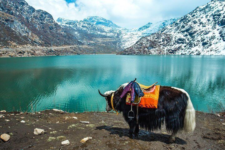 Airborne rescue operations begin for those stranded in Sikkim's Lachen,  Lachung | Latest News India - Hindustan Times