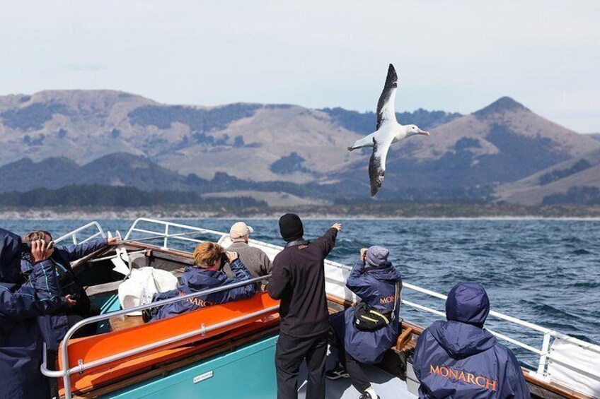 Warm jackets and binoculars are complimentary extras on every cruise!