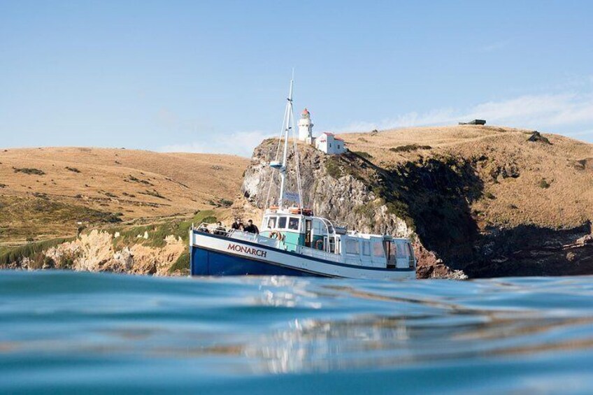 Cruising past the historic Taiaroa Head lighthouse - the first one built on the South Island.