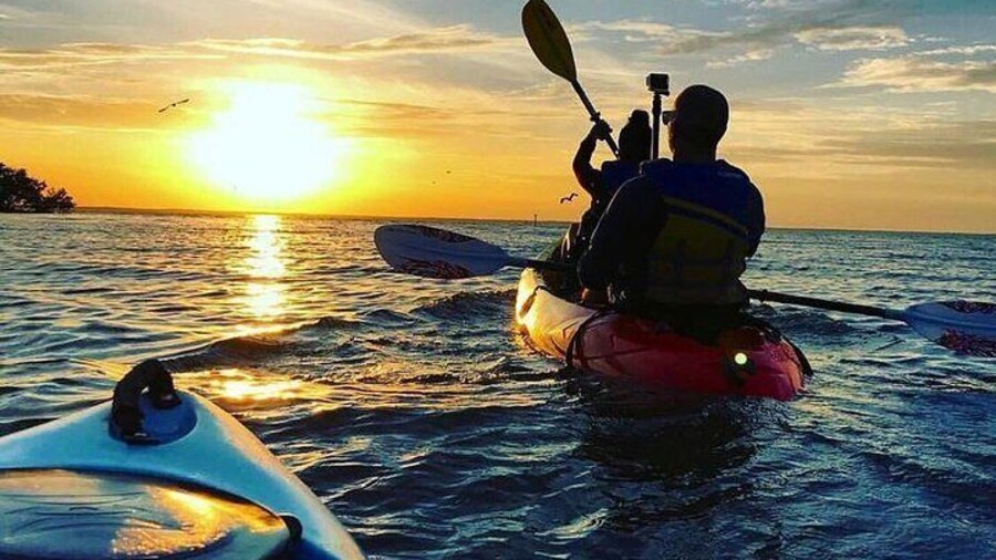 Kayak with glowing plankton in Cat Ba island with Local Adventures