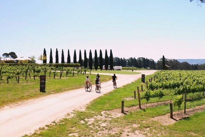 Hahndorf food and wine E-Bike Tour