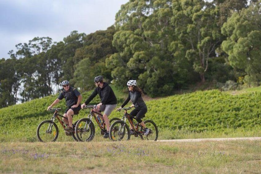 Hahndorf food and wine E-Bike Tour