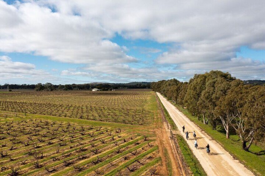 Hahndorf food and wine E-Bike Tour