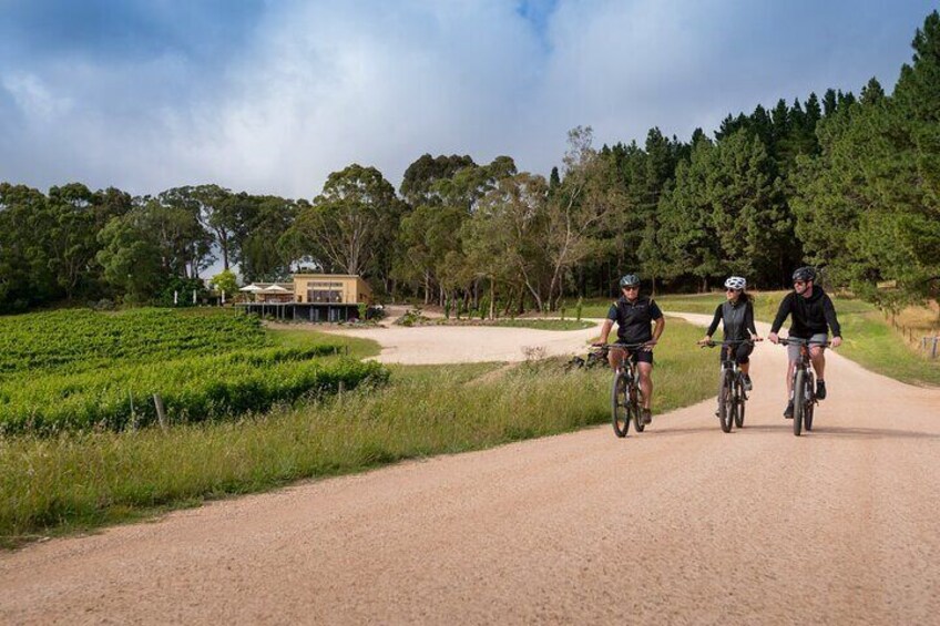 Hahndorf food and wine E-Bike Tour