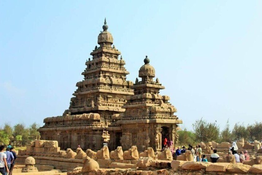 Mahabalipuram Trip with Archaeologist