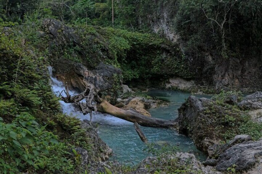 Cebu Kawasan Canyoneering, Pescador Island, Moalboal Turles & Sardines Journeys