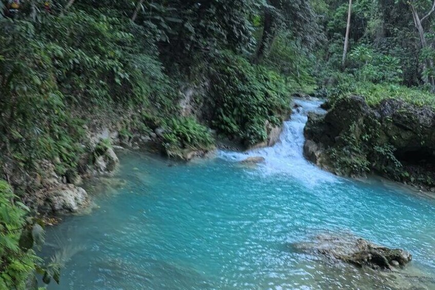 Cebu Kawasan Canyoneering, Pescador Island, Moalboal Turles & Sardines Journeys 