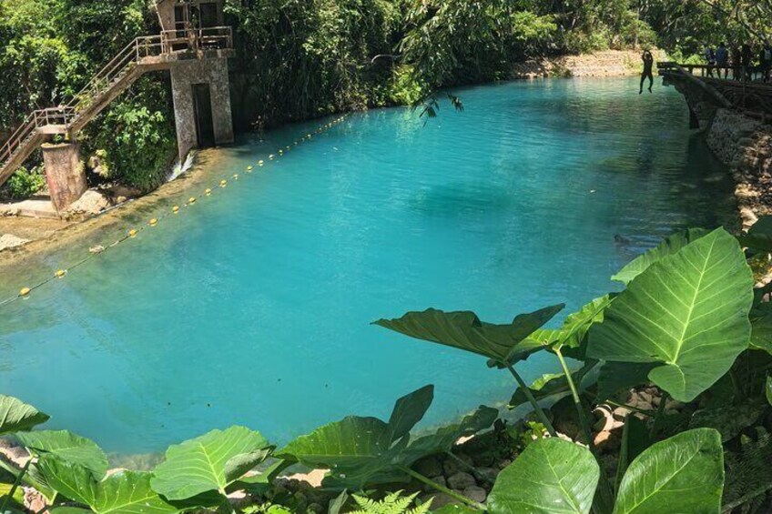 Cebu Kawasan Canyoneering, Pescador Island, Moalboal Turles & Sardines Journeys