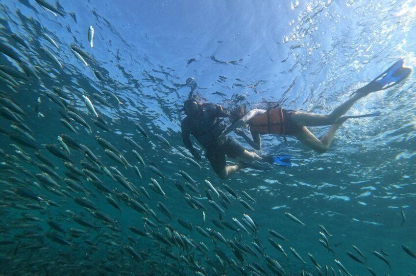 Cebu Kawasan Canyoneering, Pescador Island, Moalboal Turles & Sardines Journeys