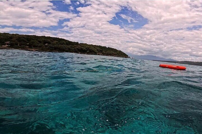 Cebu Whalesharks, Sumilon Island & Tumalog falls