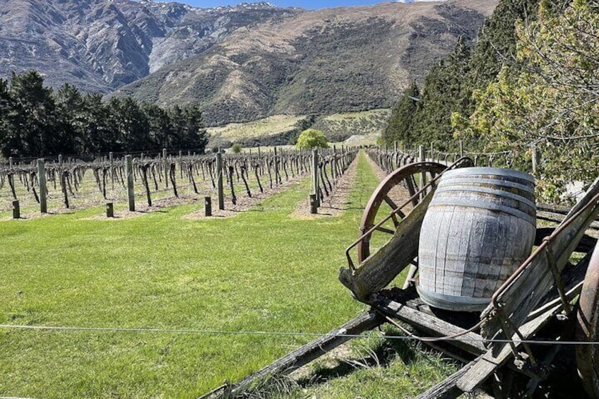  Bike the Valley of the Vines from Arrowtown- Return Shuttle from Queenstown