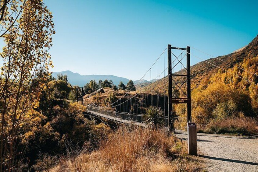  Bike the Valley of the Vines from Arrowtown- Return Shuttle from Queenstown