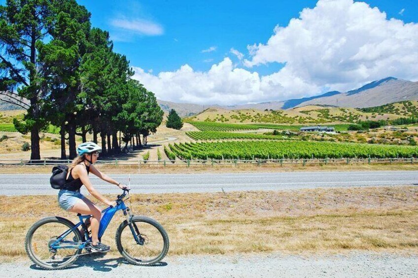 Self Guided Bike Experience in Gibbston Valley Wineries