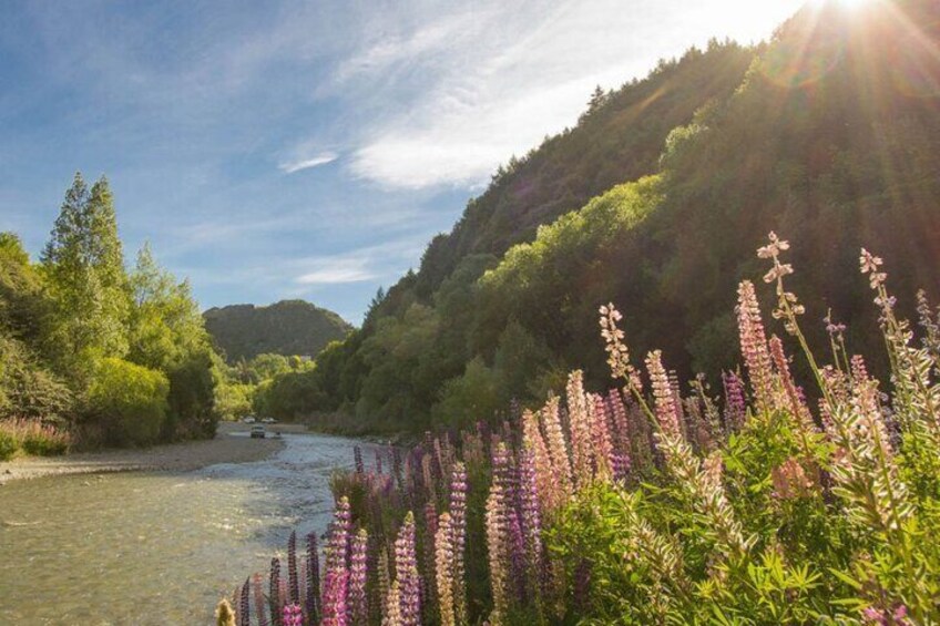 Arrow river in Lupin blossom bliss