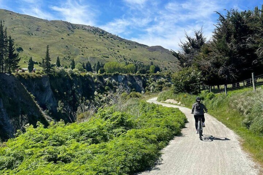  Bike the Valley of the Vines from Arrowtown- Return Shuttle from Queenstown