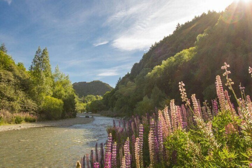 Ride to Riches: Arrowtown-Queenstown Bike Tour + Shuttle