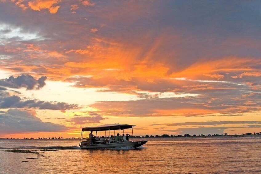 Chobe Day Trip from Victoria Falls