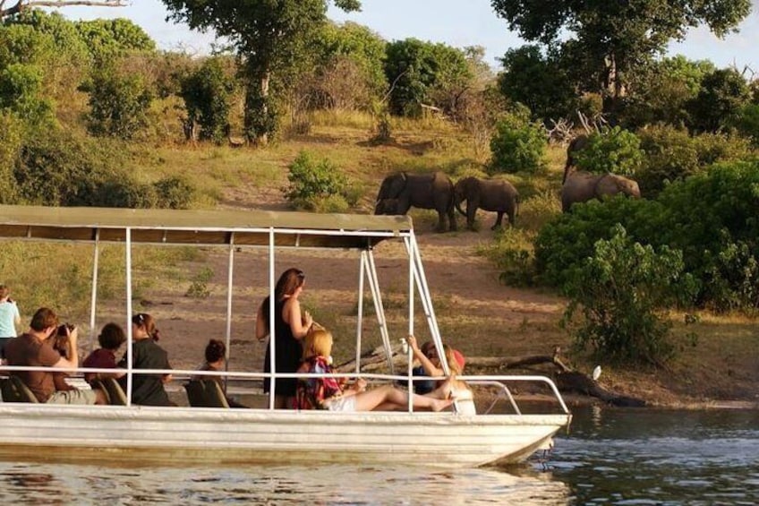 Chobe Day Trip from Victoria Falls