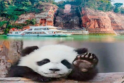 Leshan Buddha + Panda Base or Old Tea House Private Day Tour