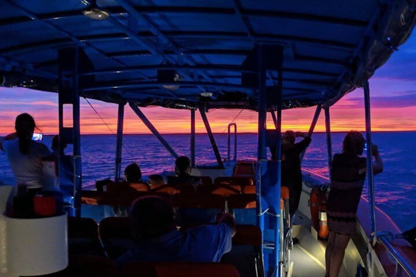 Darwin Sunset Cruise Including Fish 'n' Chips