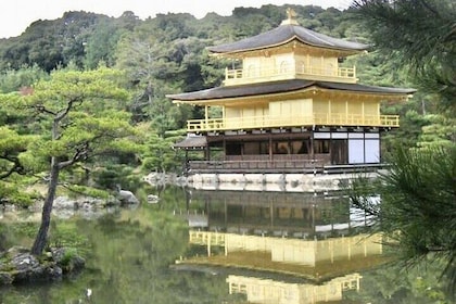 Private Day Tour of the Temples of Kyoto