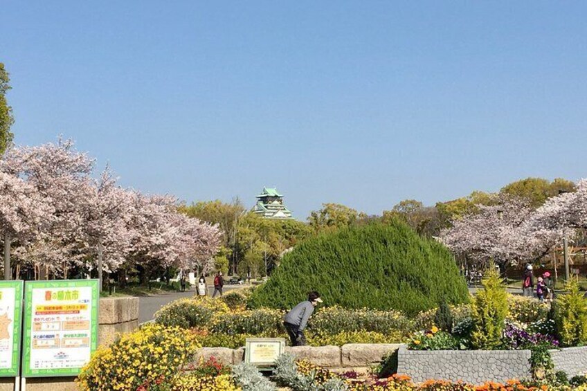 Full-Day Private Guided Tour to Osaka Palaces and Temples