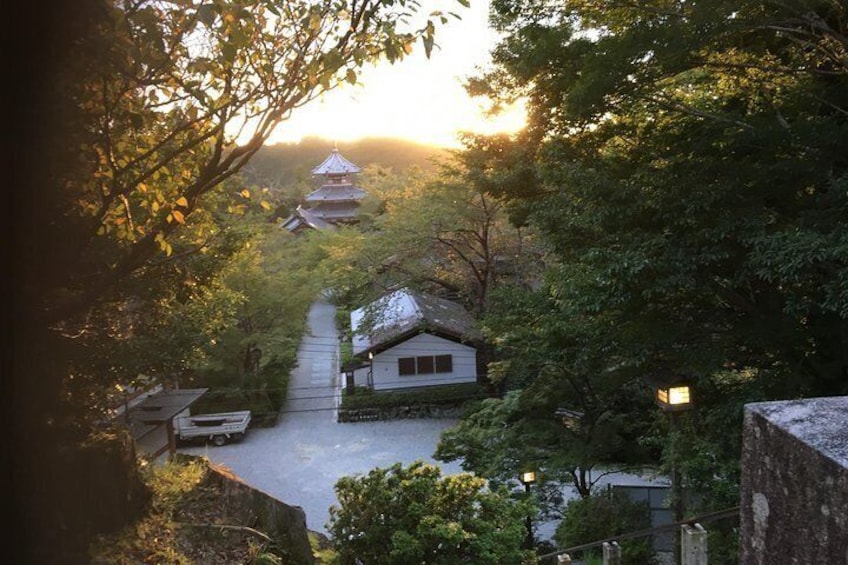 Full-Day Private Guided Tour in a Japanese Mountain: Yoshino, Nara