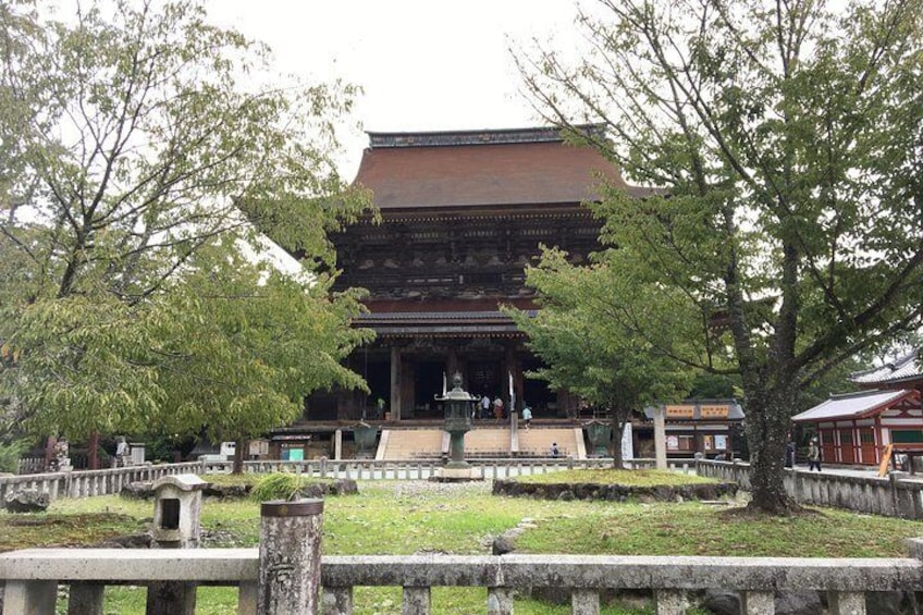 Full-Day Private Guided Tour in a Japanese Mountain: Yoshino, Nara