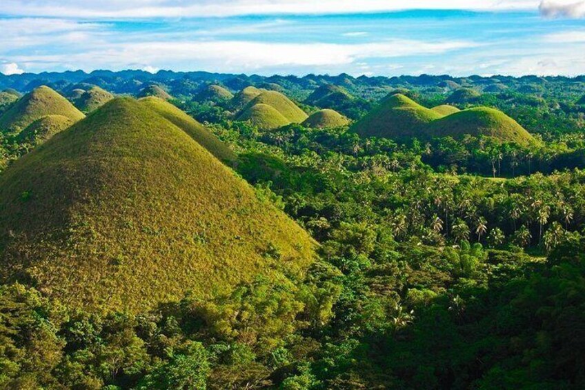 Bohol Countryside Tour with Lunch