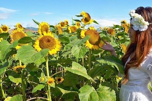 Davao Countryside Agri-Tours