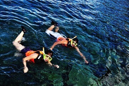 Dumaguete Apo Island Snorkeling Tour