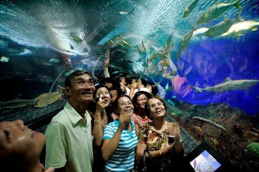 Underwater World in Pattaya Admission Ticket