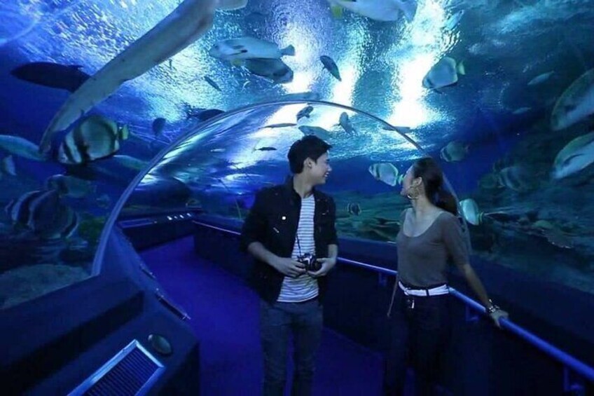 Underwater World in Pattaya Admission Ticket