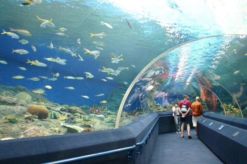 Underwater World in Pattaya Admission Ticket