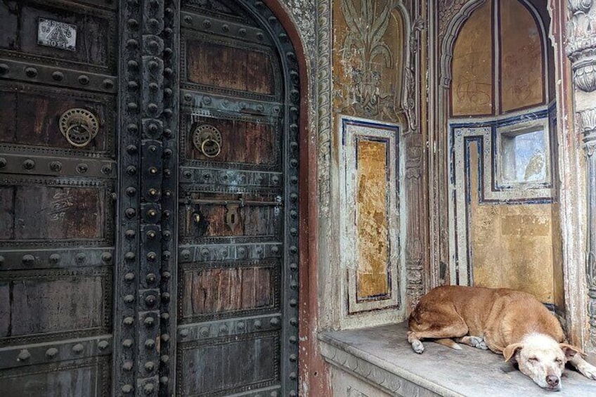 Jaipur Heritage Evening Walk - The Twilight Magic of Pink City