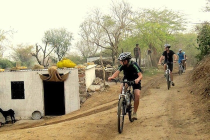 Jaipur Village Cycling Safari
