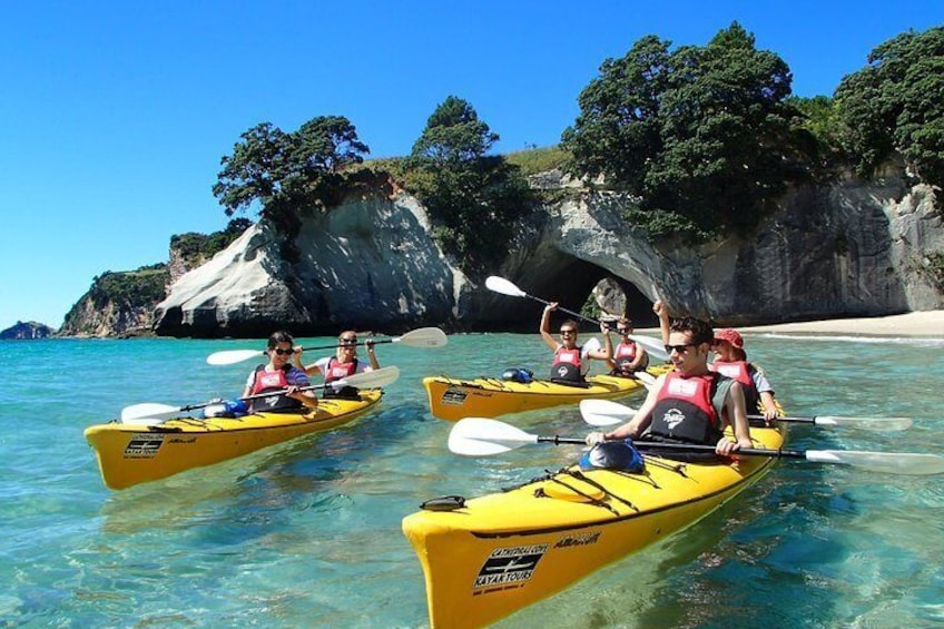 cathedral cove classic tour