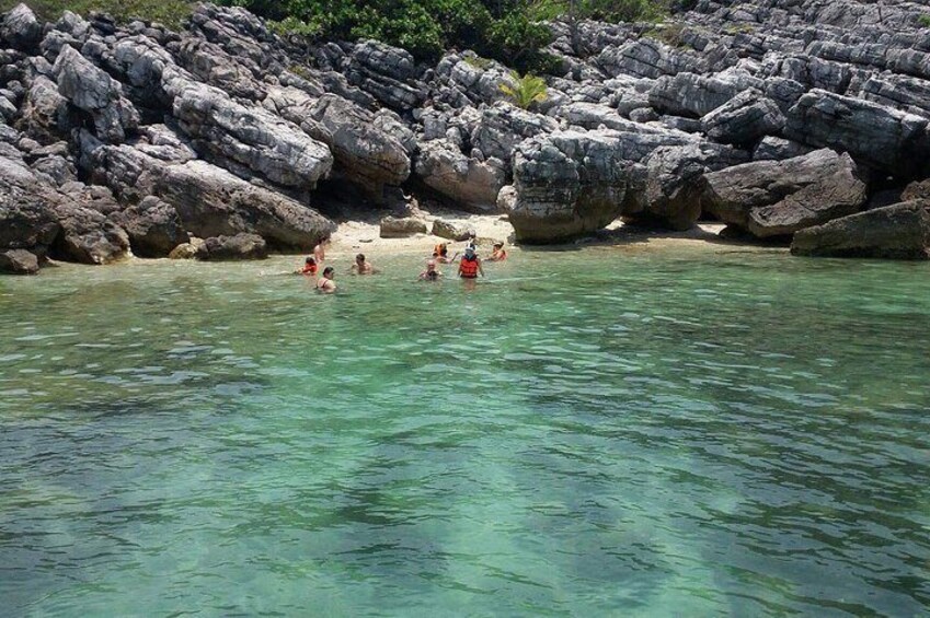  Pig Island Experience By Speed Boat, Snorkeling, Kayaking Relaxing on the Beach