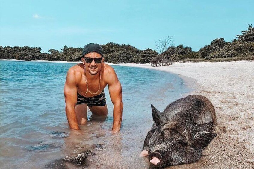  Pig Island Experience By Speed Boat, Snorkeling, Kayaking Relaxing on the Beach