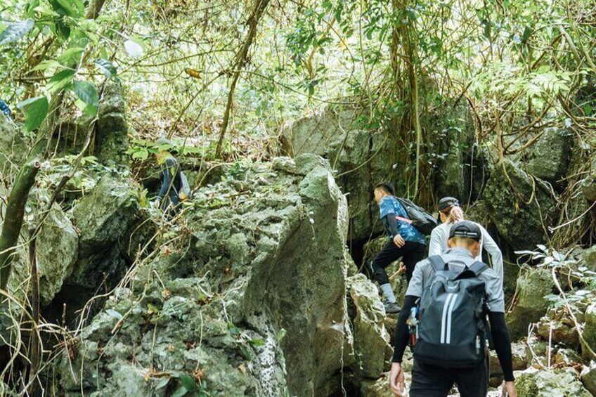 Abandoned Valley Trekking - 1D