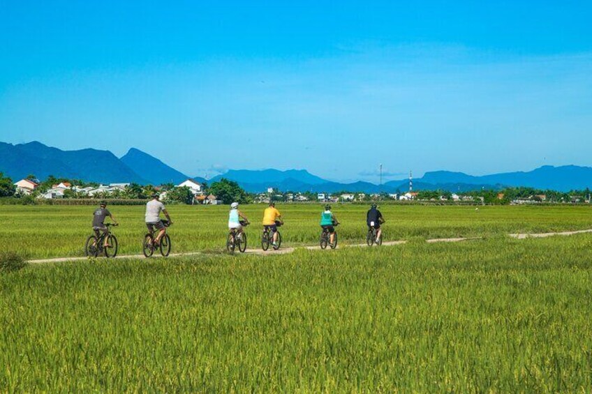 Our expert guide will lead you on a scenic ride from Hoi An to My Son, taking you through small and quiet alleyways, small villages and rice fields