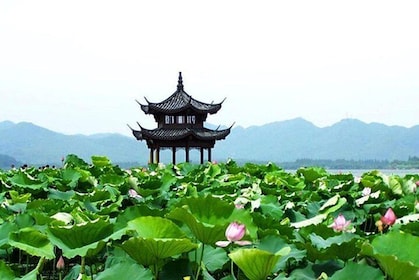 Hangzhou: Heaven on Earth Day Trip from Shanghai including West Lake Cruise