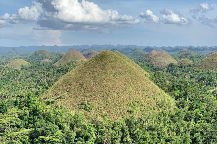 Bohol Countryside Journeys 