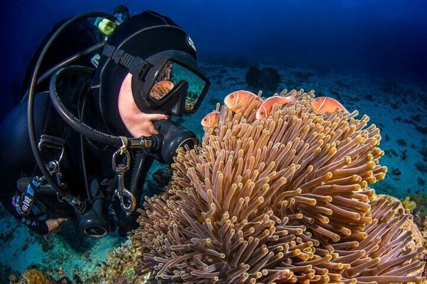 Scuba Diving the Great Barrier Reef