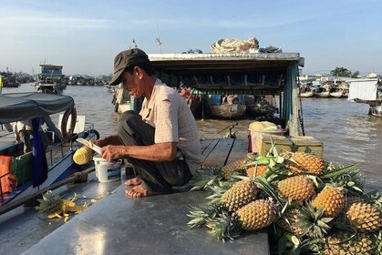 Cai Rang floating market and Mekong Delta Private Tour from HCMC